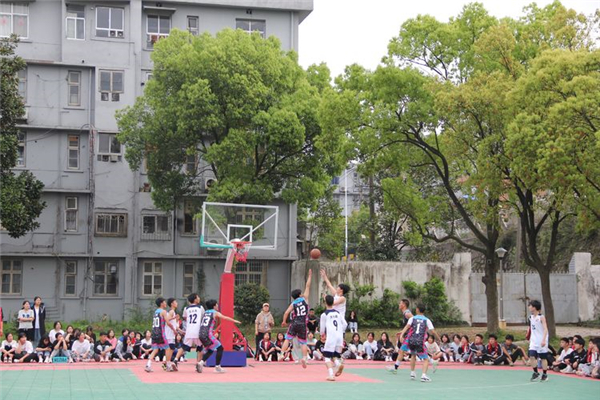 常德德才科技职业学校,常德招生就业,电子商务专业学校,专业学校报考哪里好