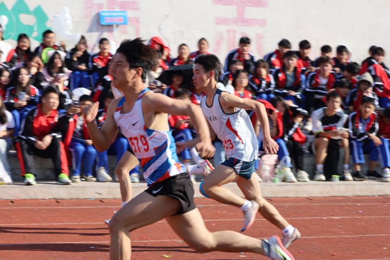 常德德才科技职业学校,常德招生就业,电子商务专业学校,专业学校报考哪里好